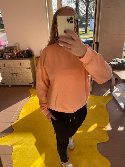 Sweatshirt Apricots, Baumwolle, One Size, CHOICE 9385