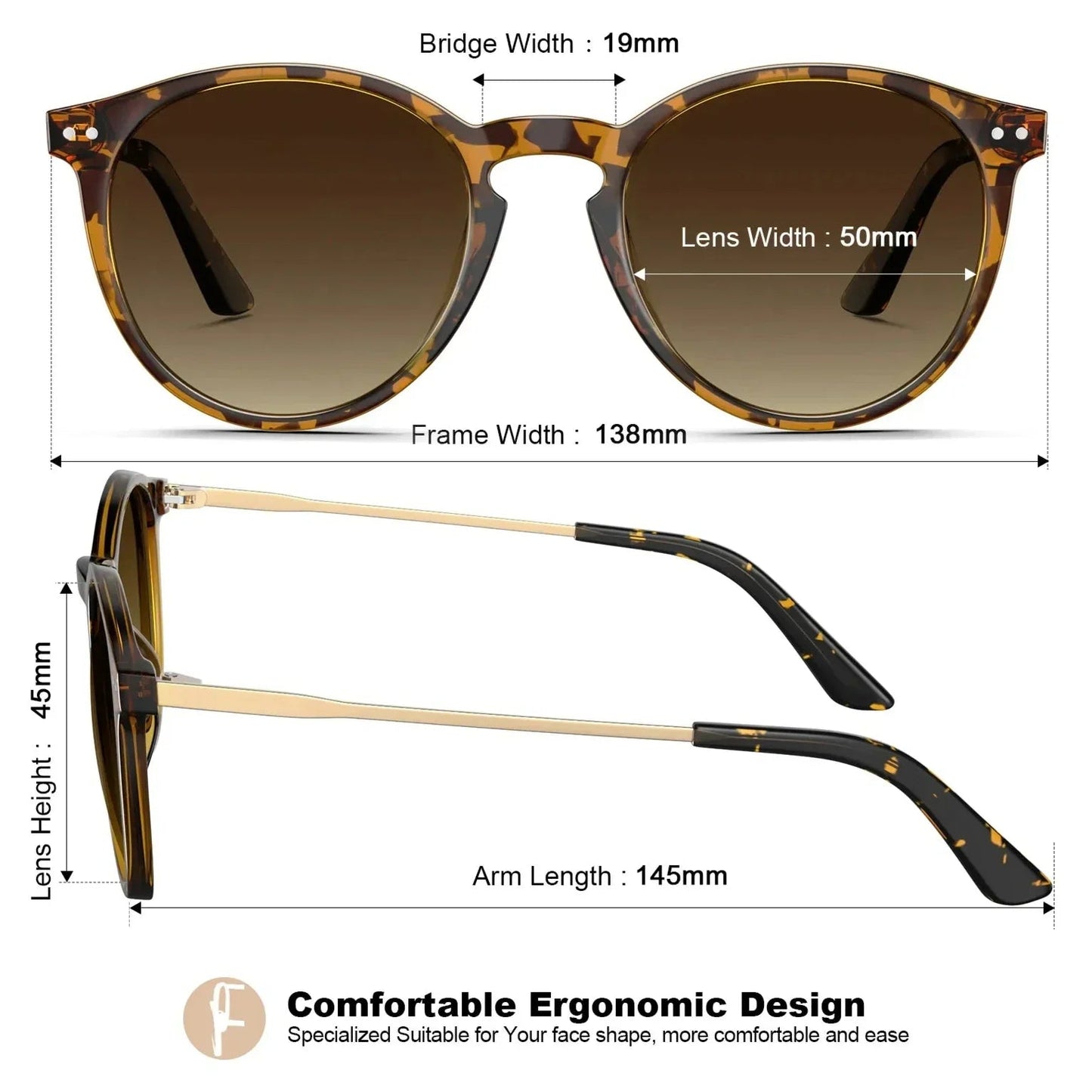 Duncan - Chestnut Dream - AXON