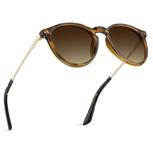 Duncan - Chestnut Dream - AXON