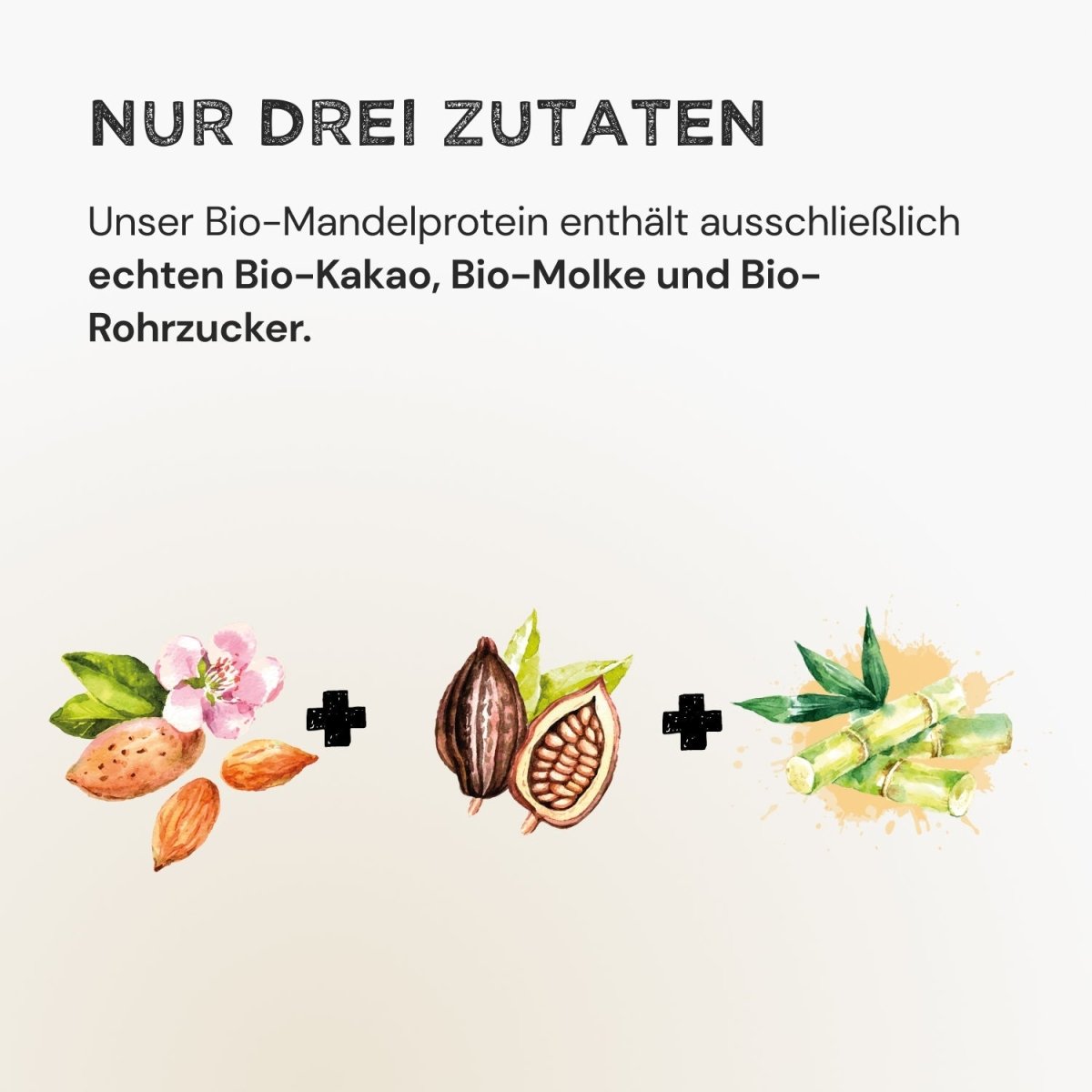 Almond Protein - Cacao