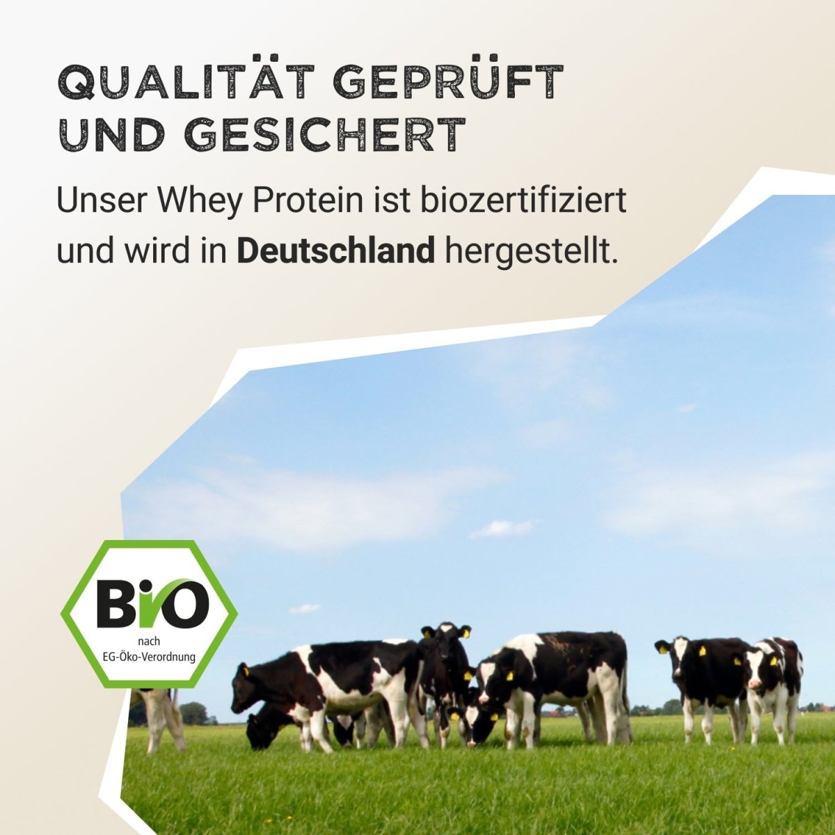 Whey Protein - Strawberry