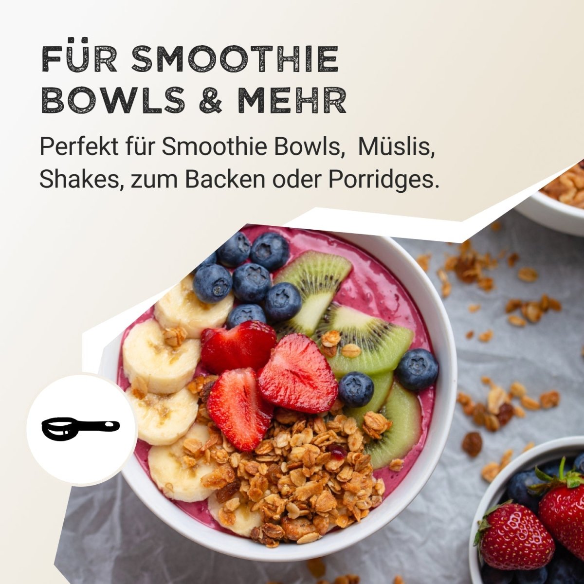 Fruit Powder - Wild Blueberry