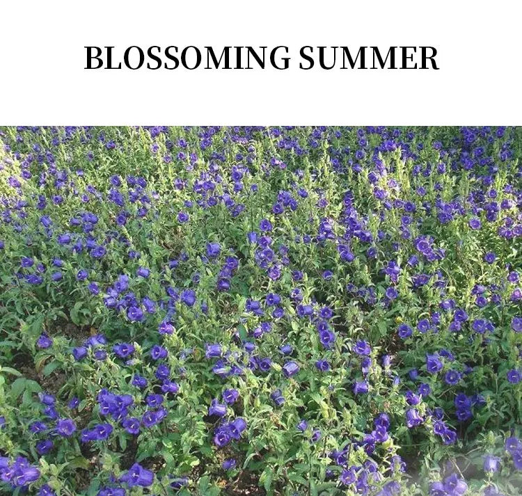 Dating scent perfume for her blue wind chime mushroom head spray