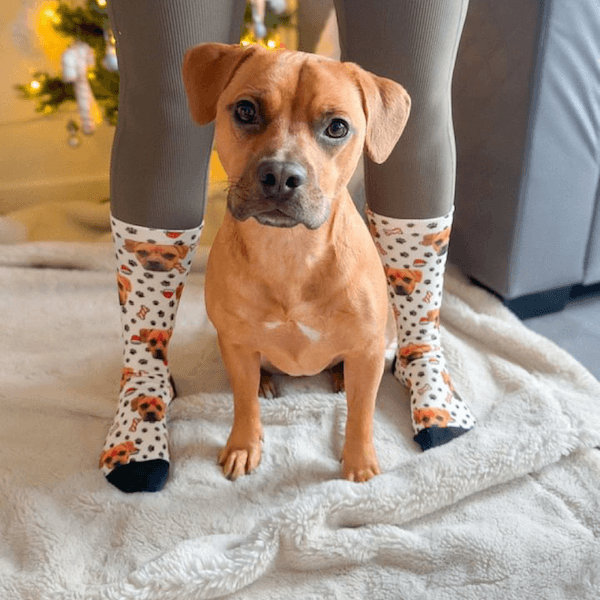 Personalisierte Weihnachts Hunde Socken