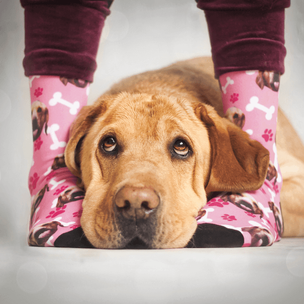 Personalisierte Hunde Sneakersocken