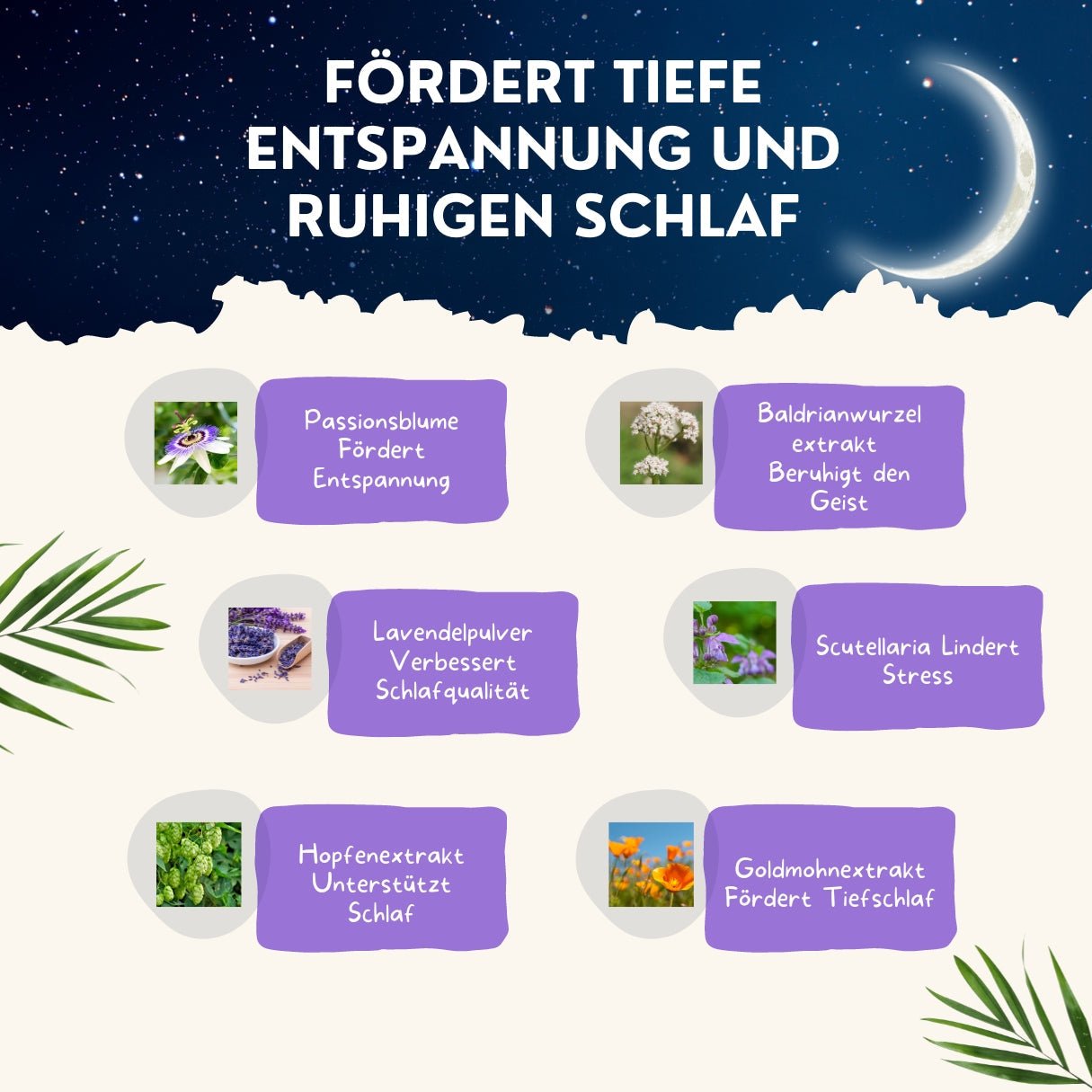 Abendruhe Capsules – Natural Support for Relaxation & Restful Sleep | Root Organics - AXON