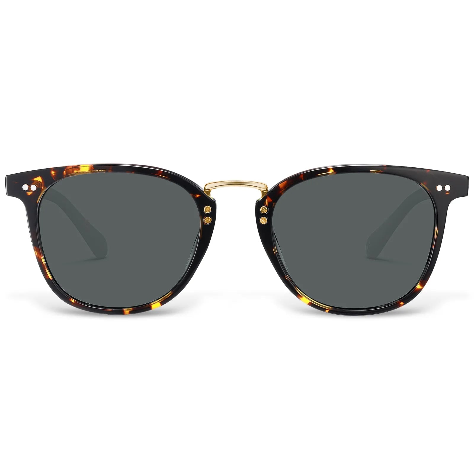 Auburn - Twilight Gaze - AXON