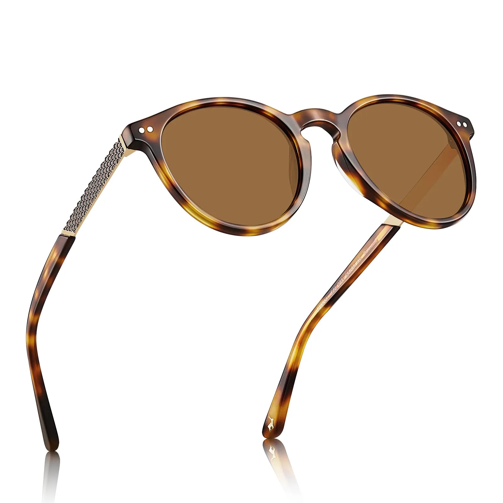 Bristol - Autumn Harvest - AXON