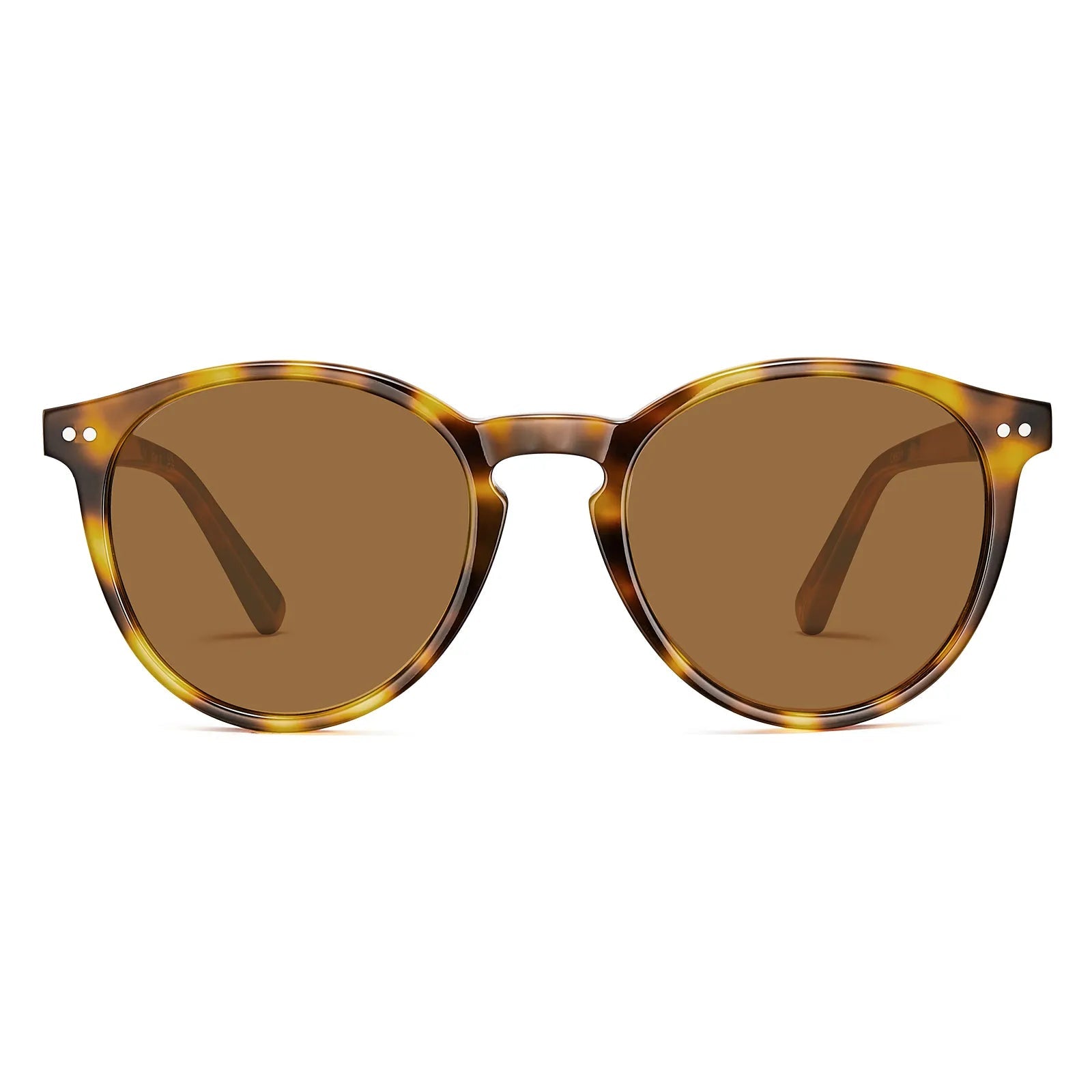 Bristol - Autumn Harvest - AXON