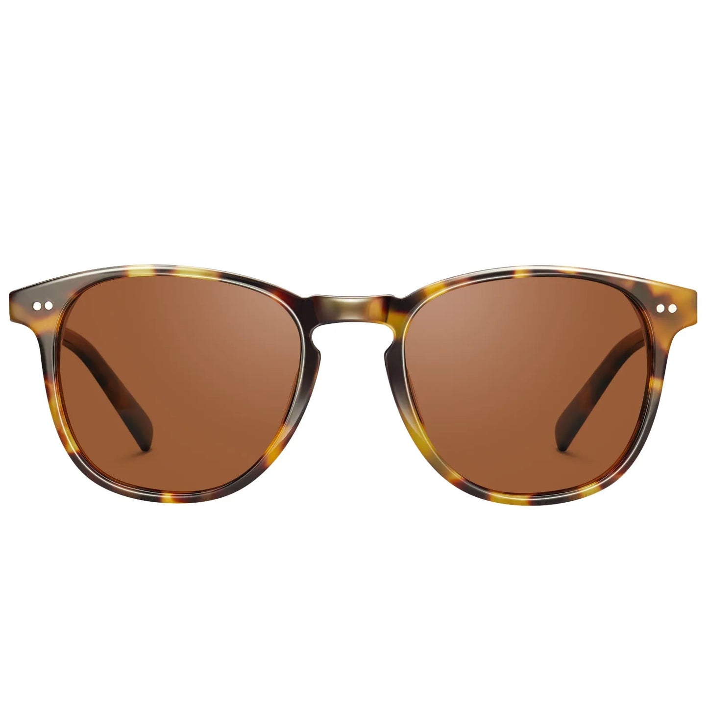 Creston - Tortoise Brew - AXON