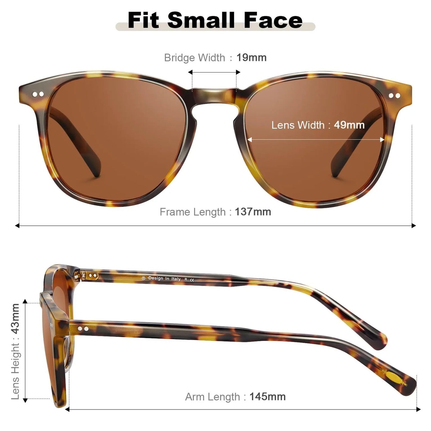 Creston - Tortoise Brew - AXON