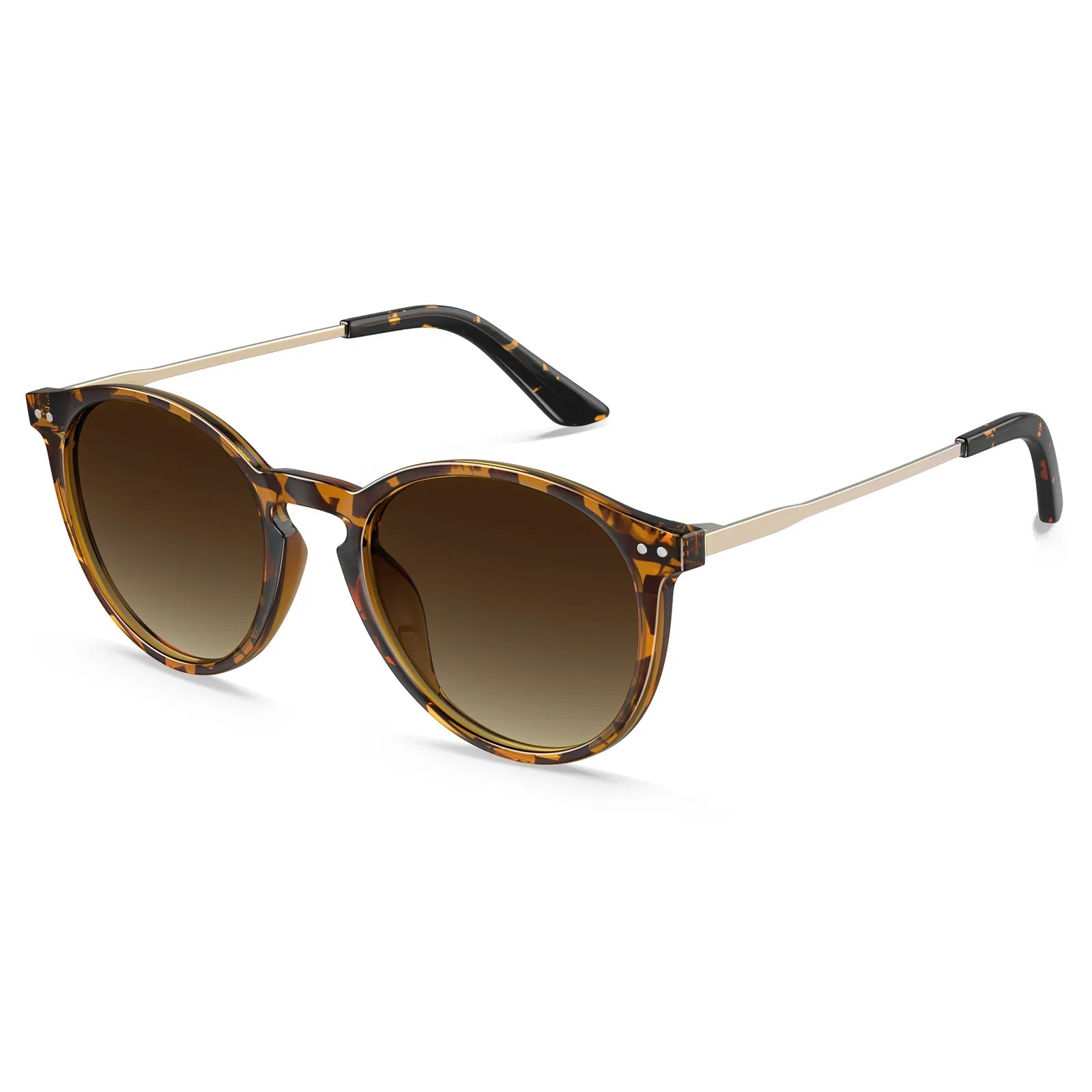 Duncan - Chestnut Dream - AXON