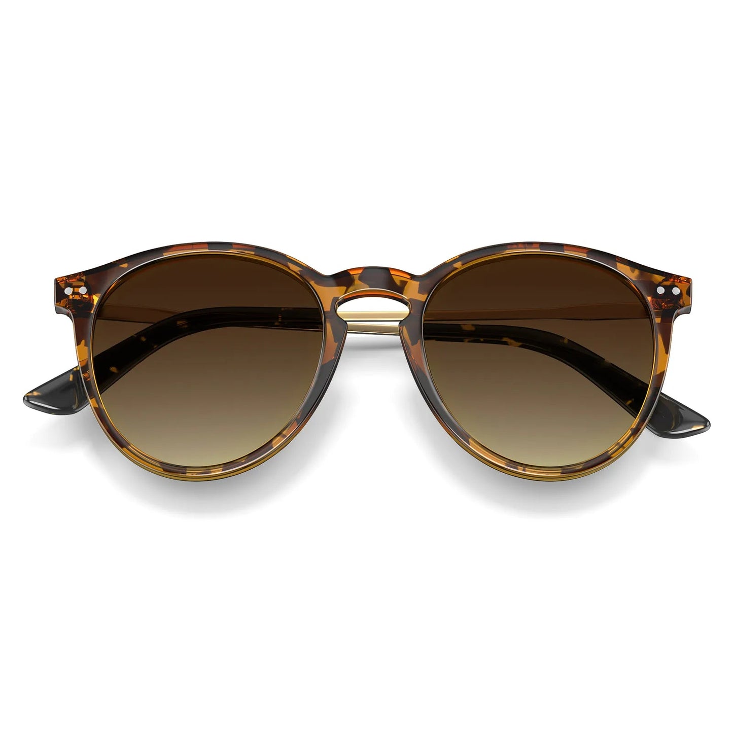 Duncan - Chestnut Dream - AXON