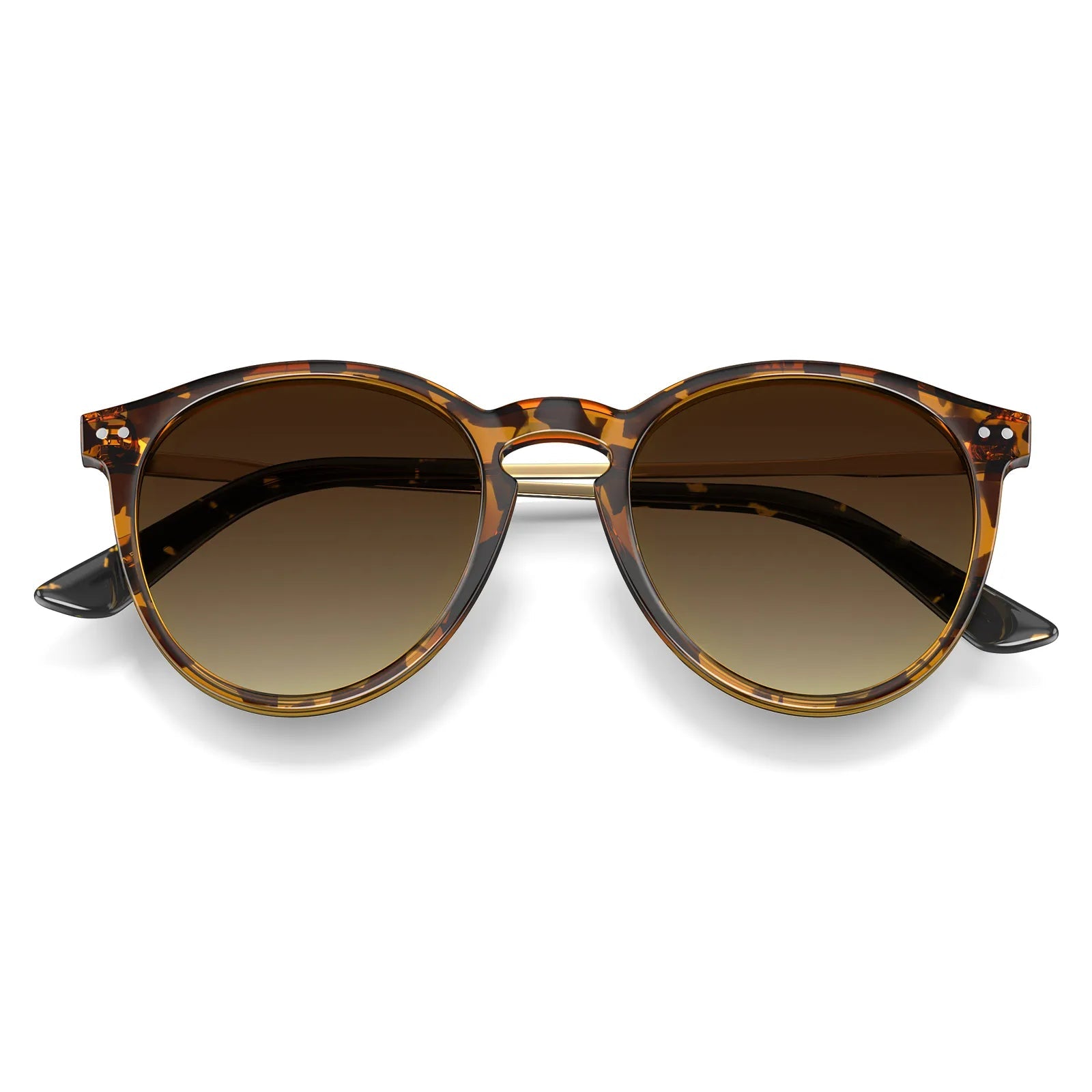 Duncan - Chestnut Dream - AXON