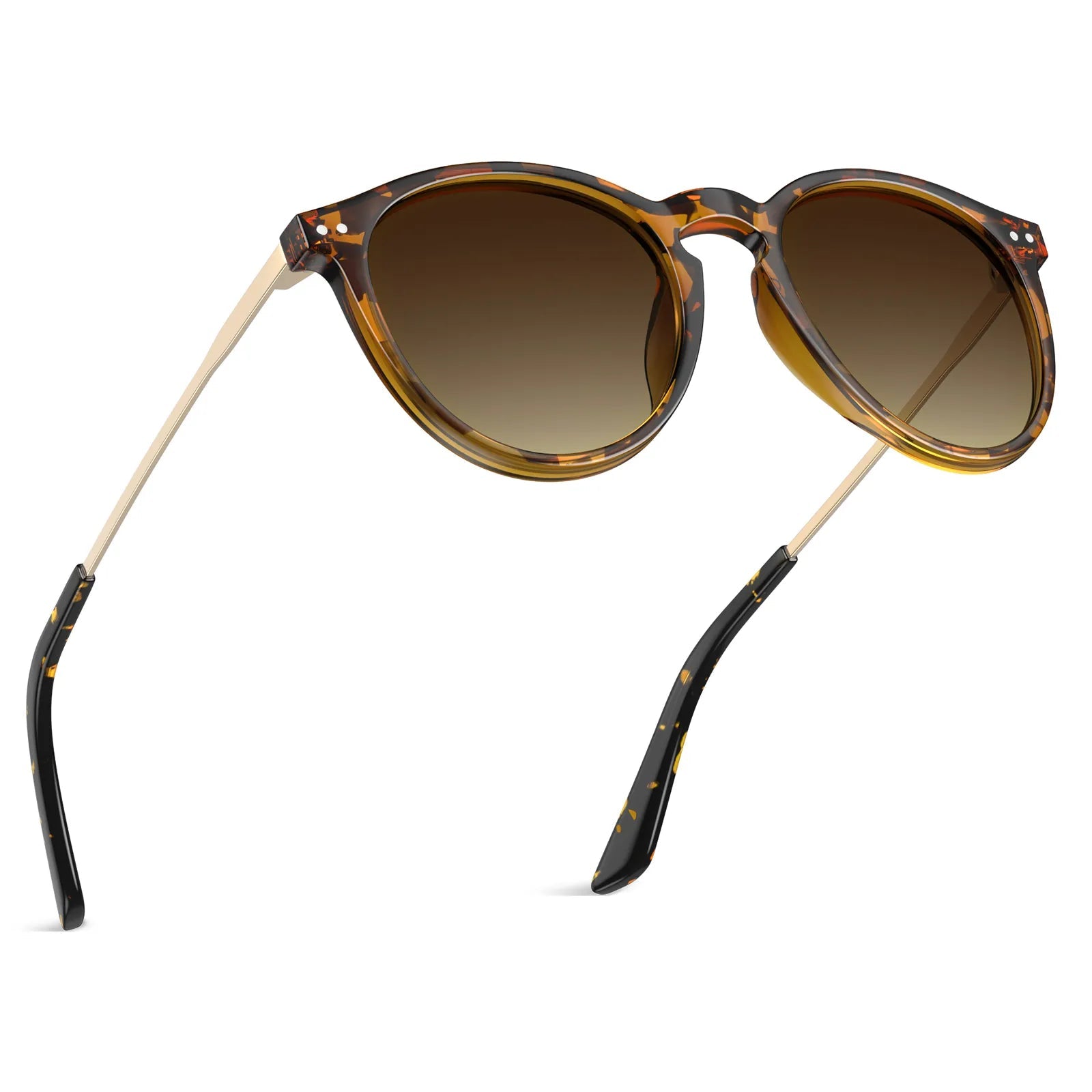 Duncan - Chestnut Dream - AXON