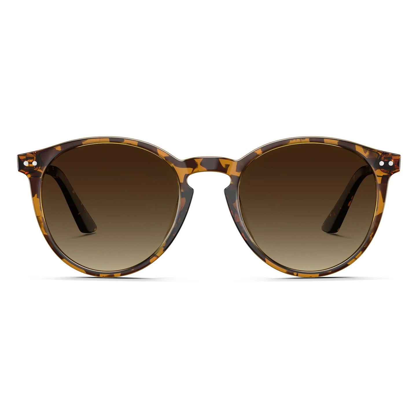 Duncan - Chestnut Dream - AXON