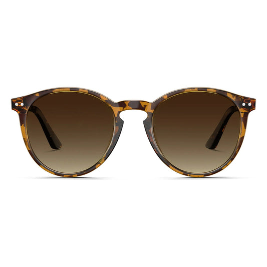 Duncan - Chestnut Dream - AXON