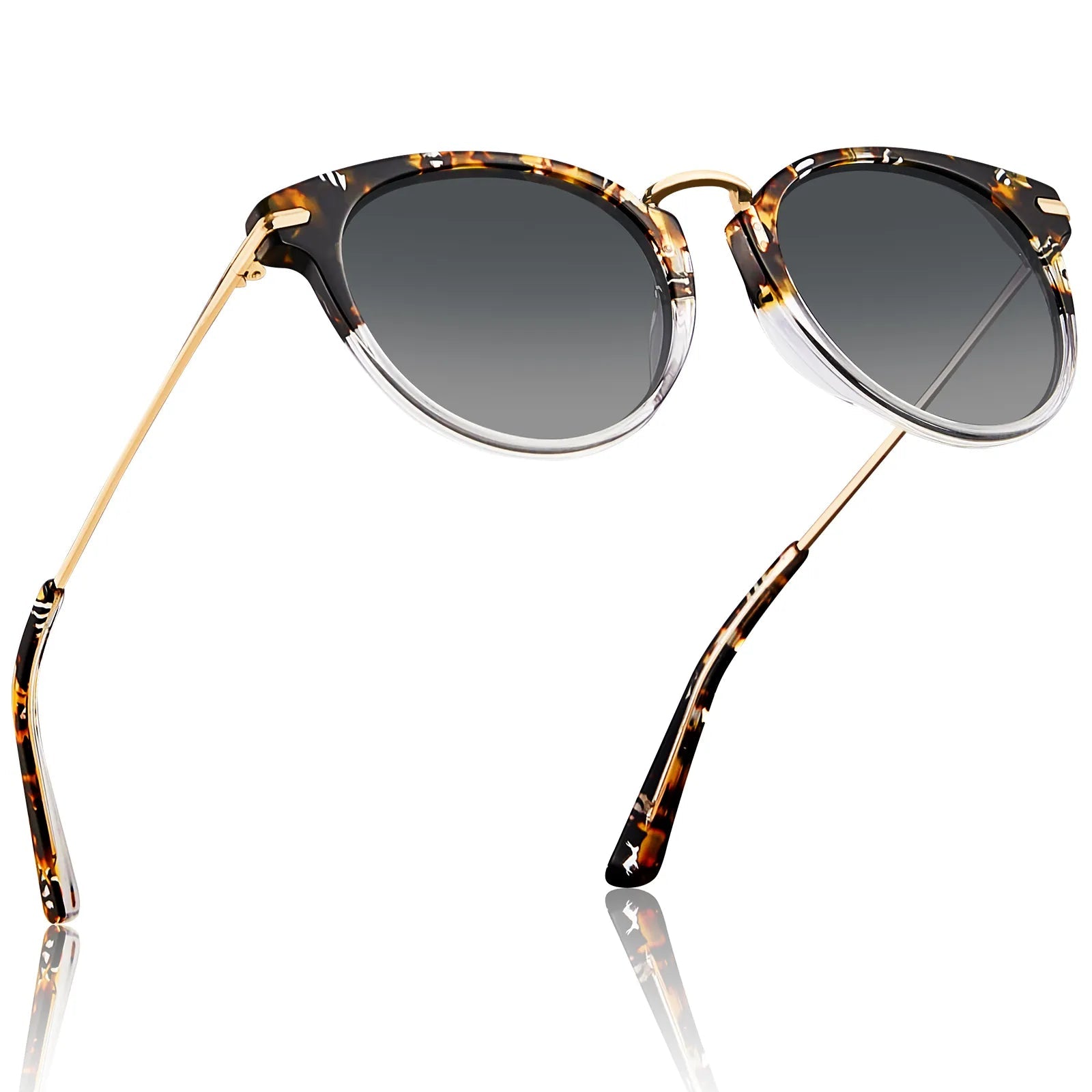 Eureka - Urban Safari - AXON