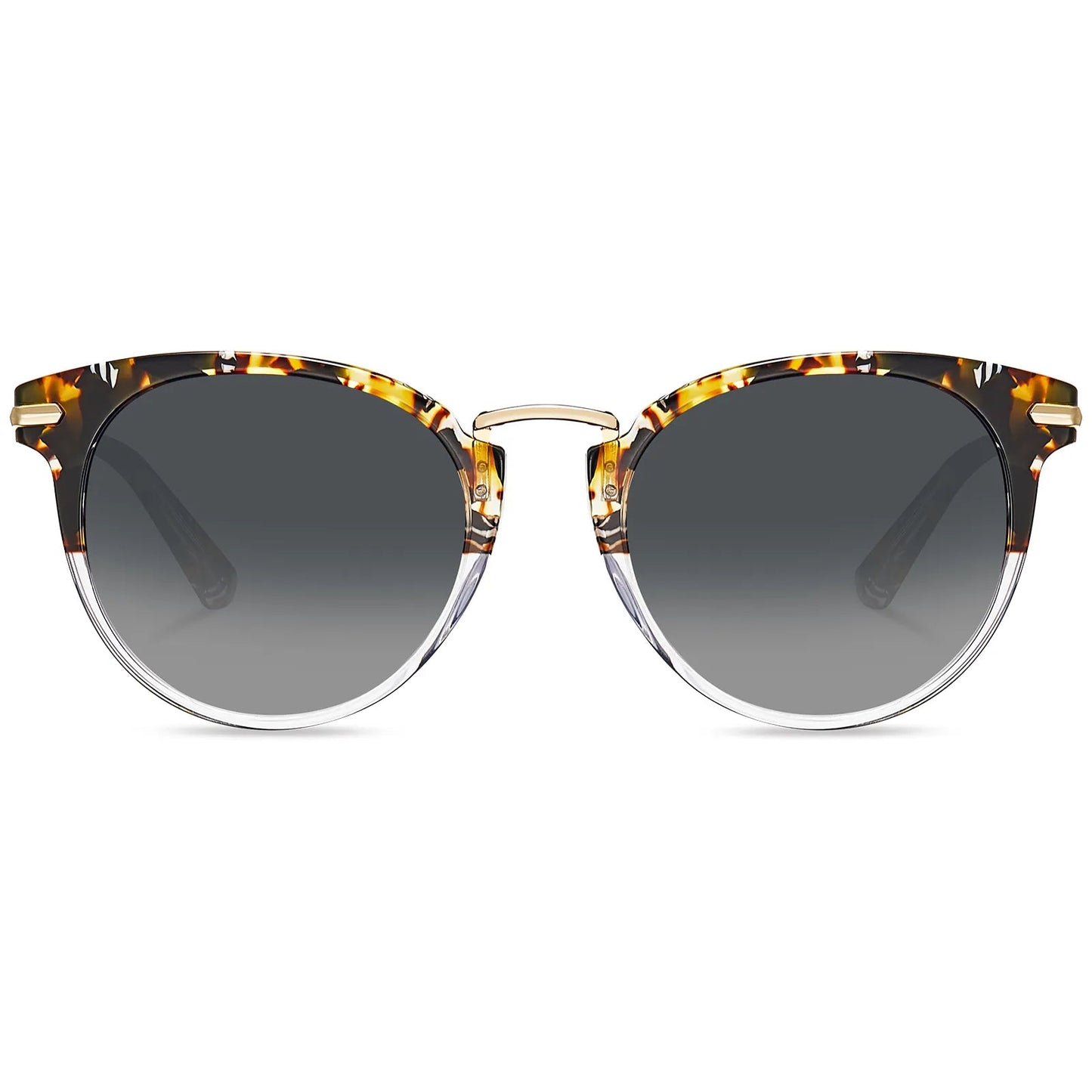 Eureka - Urban Safari - AXON