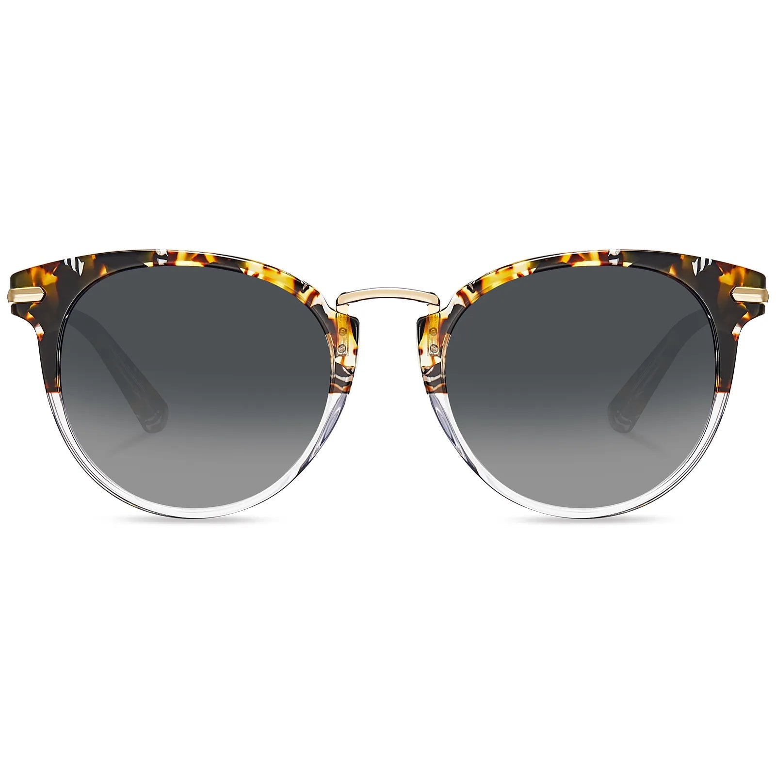 Eureka - Urban Safari - AXON