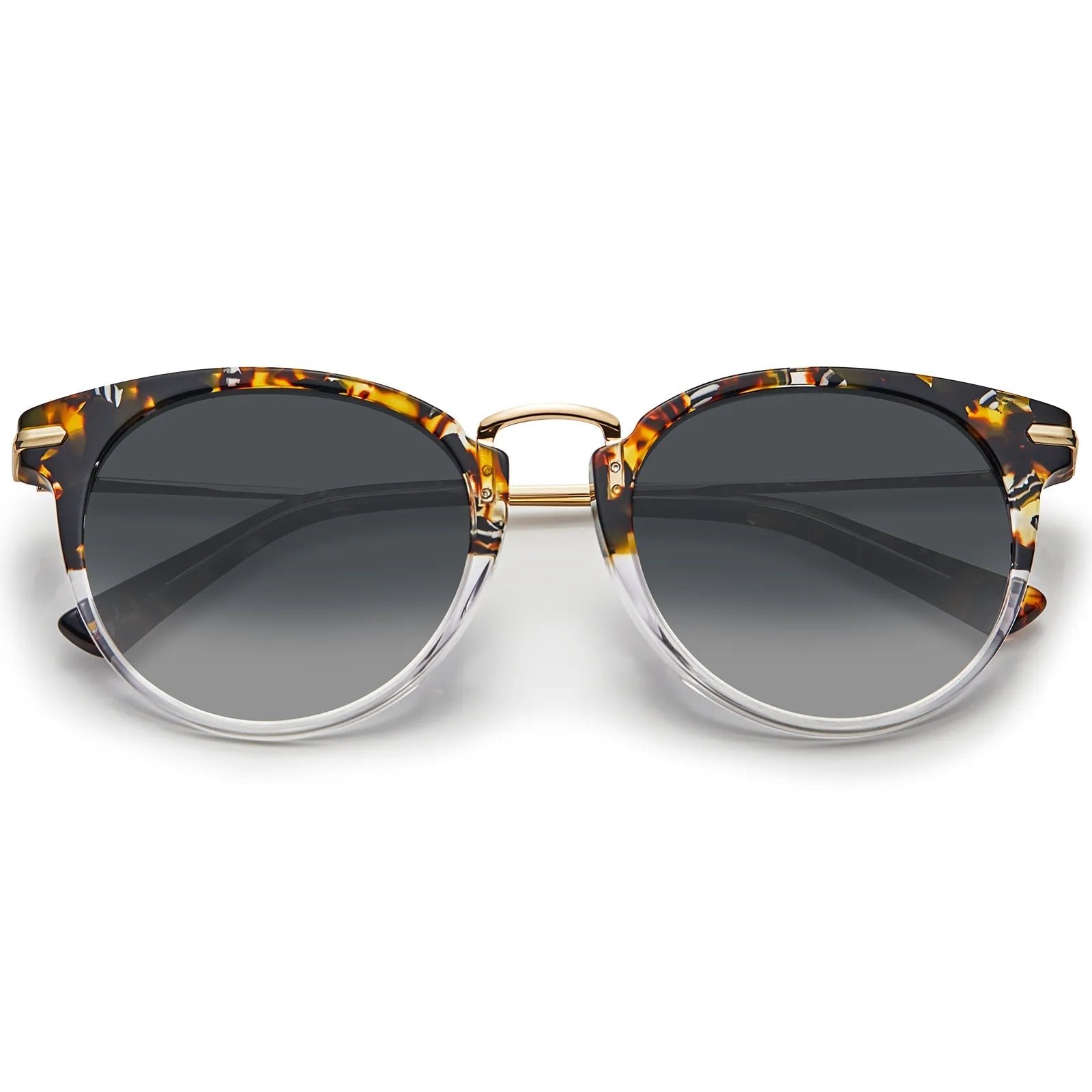 Eureka - Urban Safari - AXON