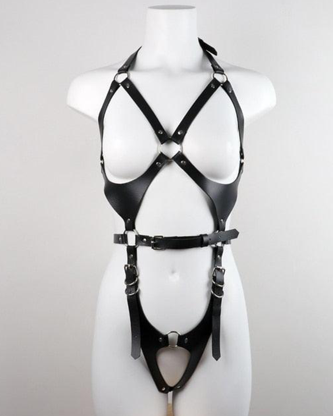 Full Body Harness