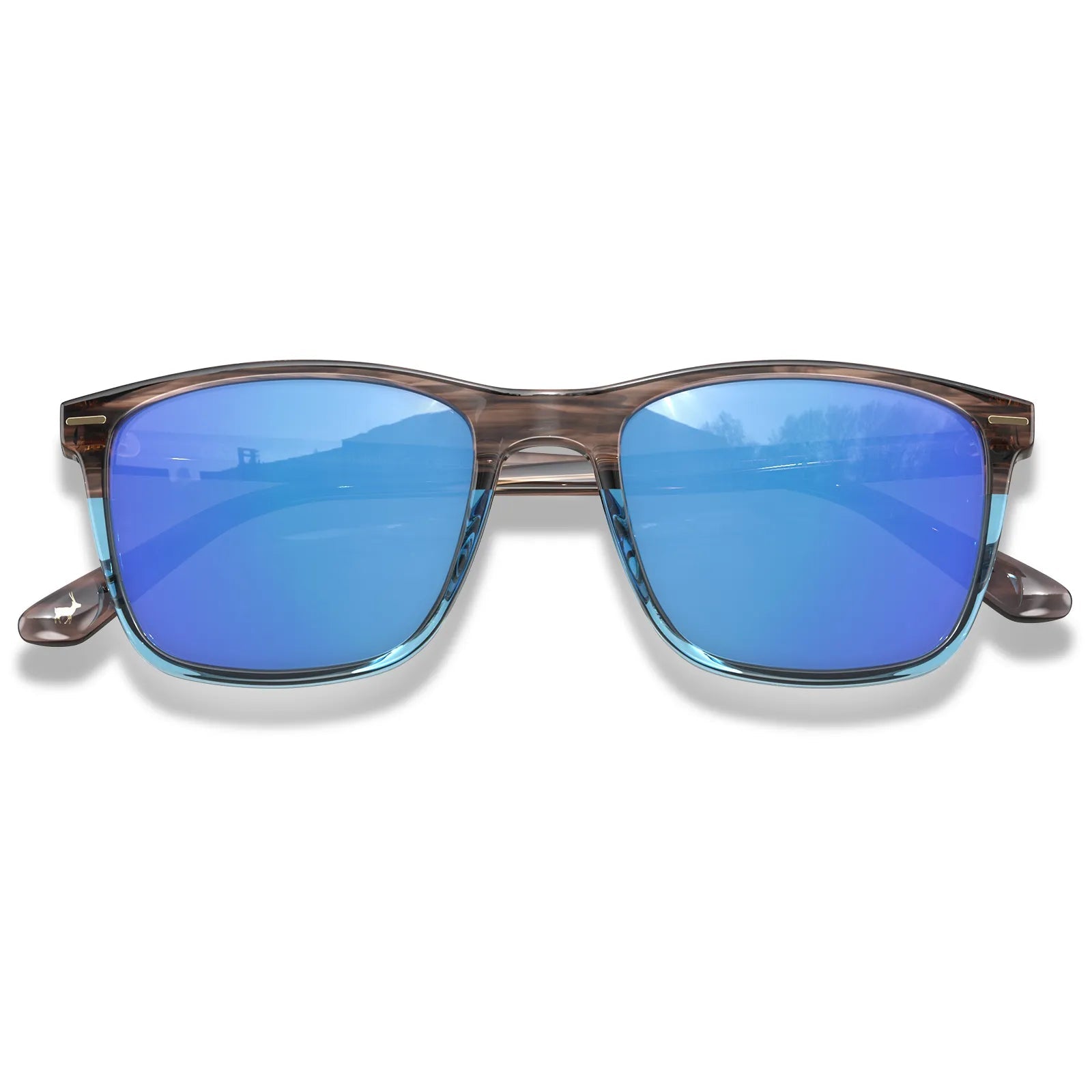 Hemet - Frozen Lake - AXON