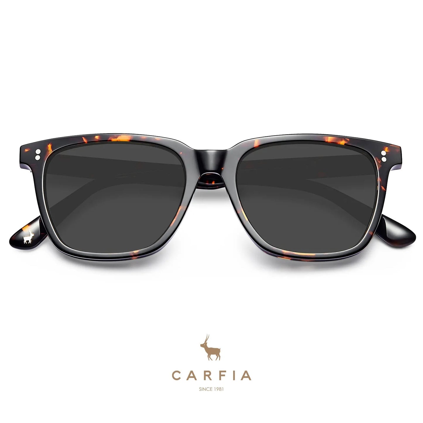 Kenosha - Ancient Roots - AXON