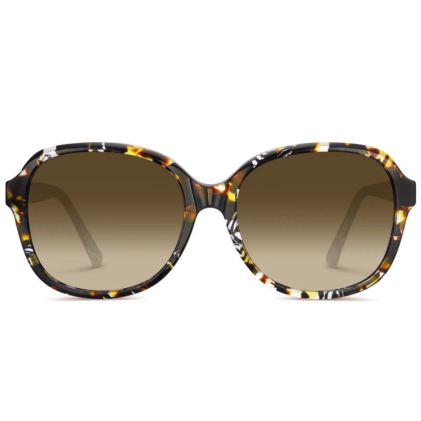 Matthew - Radiant Tortoise - AXON