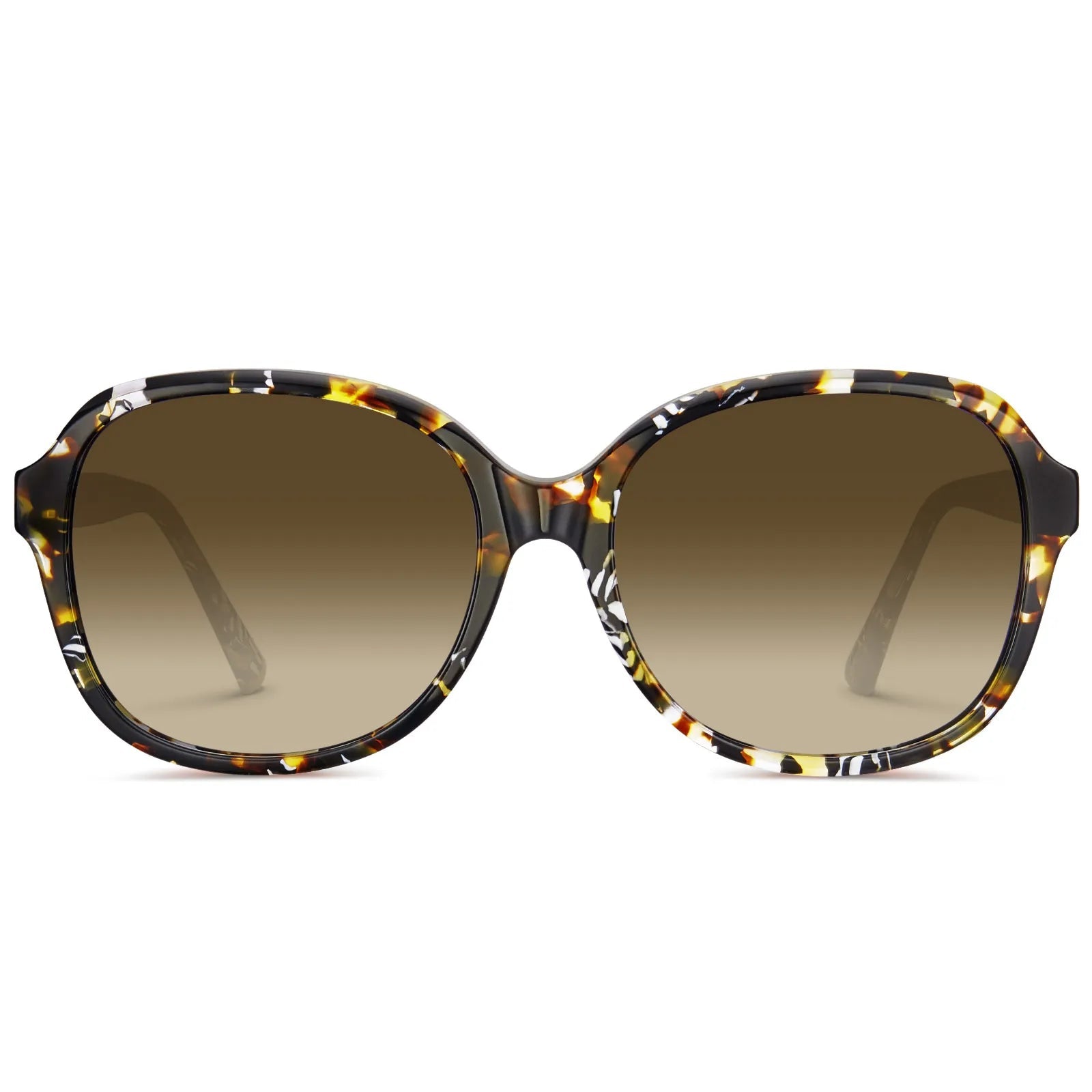 Matthew - Radiant Tortoise - AXON