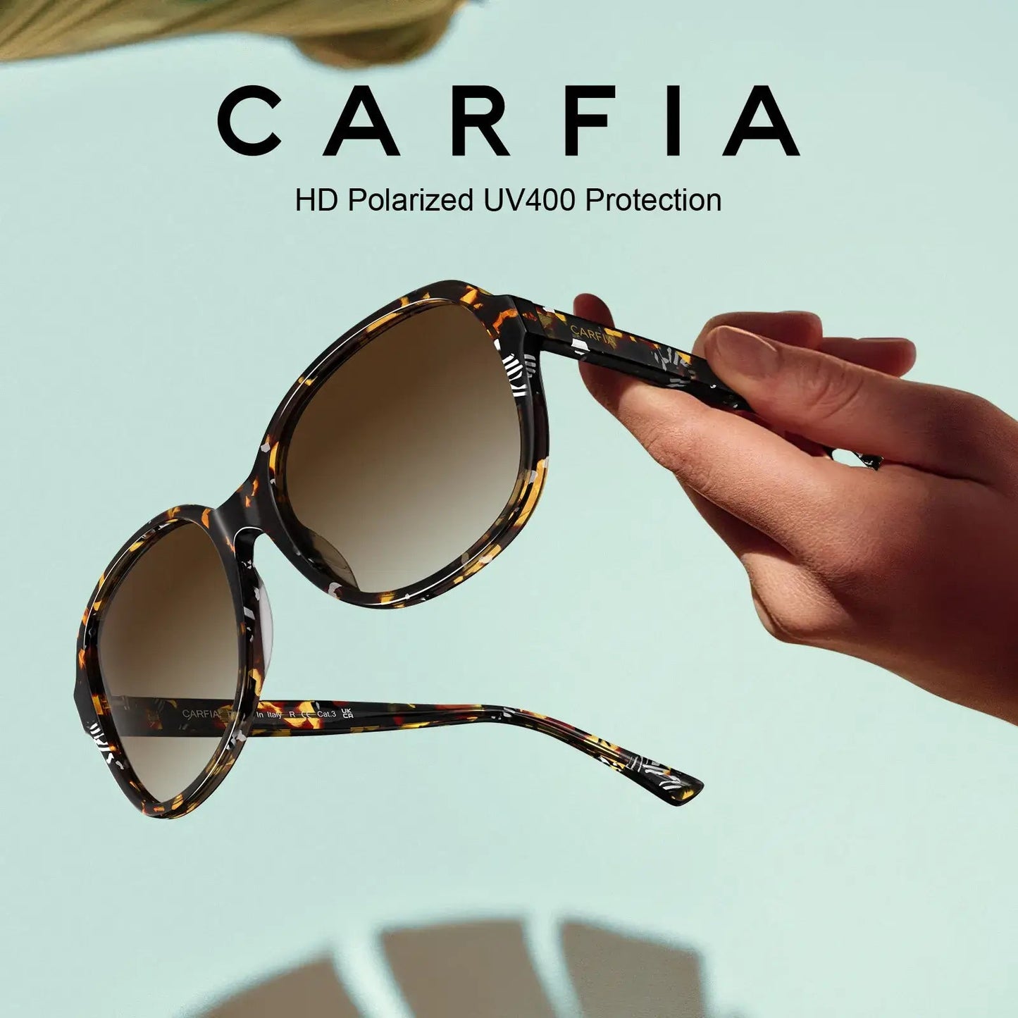 Matthew - Radiant Tortoise - AXON