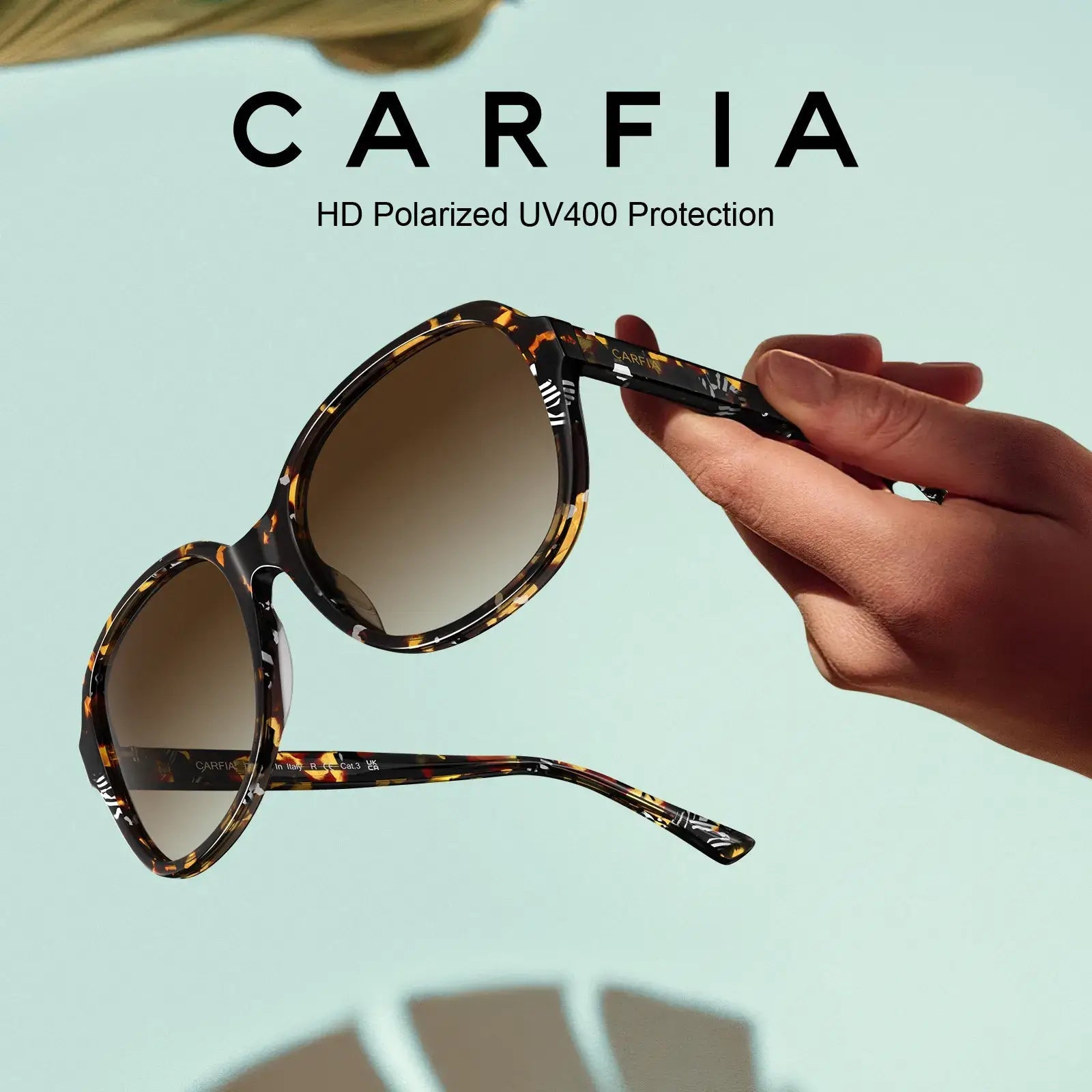 Matthew - Radiant Tortoise - AXON