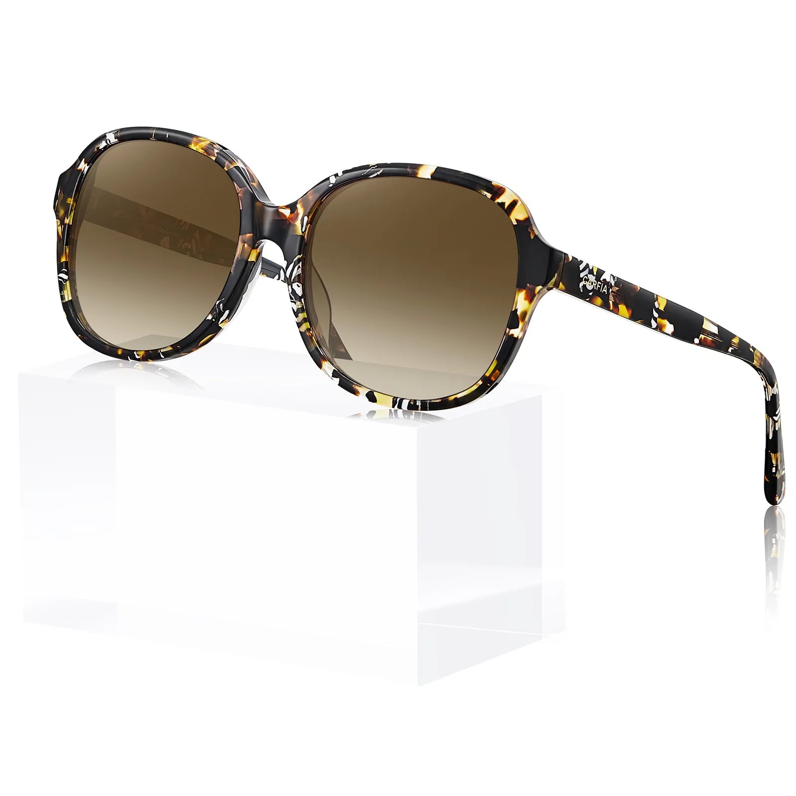 Matthew - Radiant Tortoise - AXON