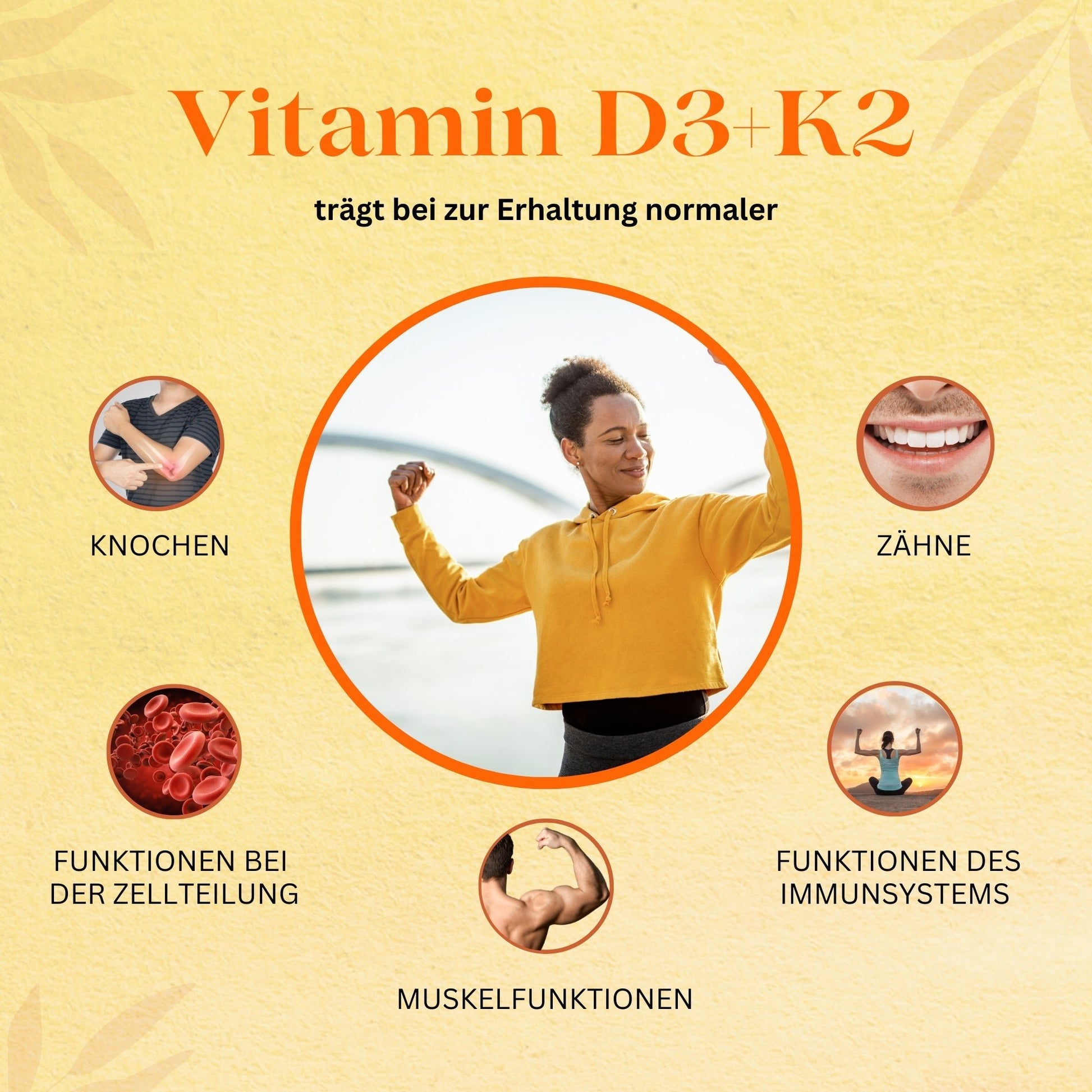 Root Organics® Vitamin D3 + K2 Kapseln – Unterstützung für Knochen, Muskeln & Immunsystem - AXON