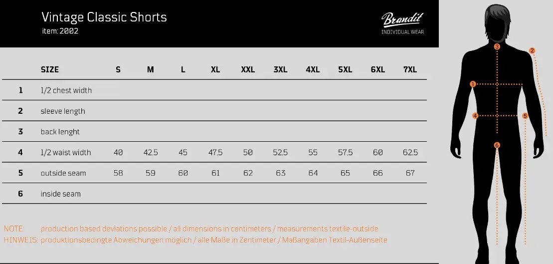 Vintage Classic Shorts - AXON