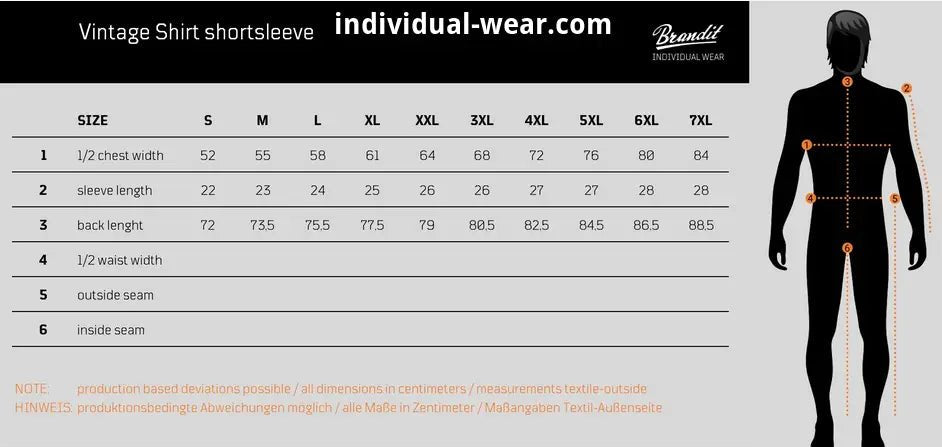 Vintage Shortsleeve Shirt - AXON